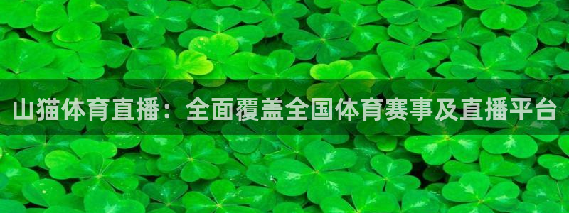 山猫体育直播：全面覆盖全国体育赛事及直播平台